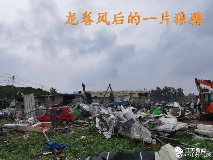 大树|扬州高邮地区遭遇龙卷风，大树被连根拔起！未来几天天气依然一言难尽