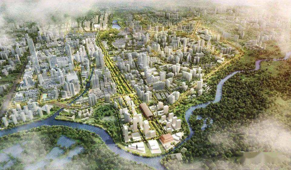 深圳公园排名_深圳湾公园(3)