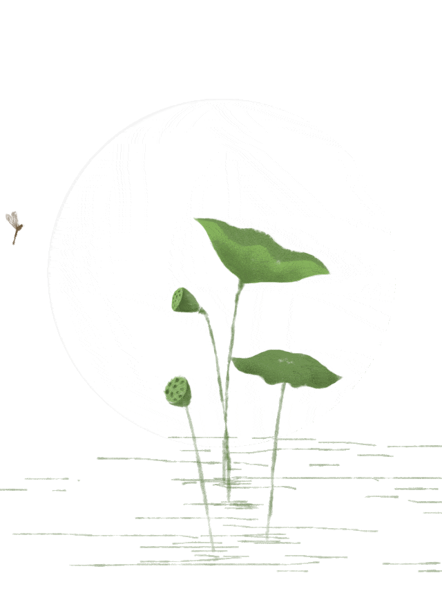 640_855 竖版 竖屏