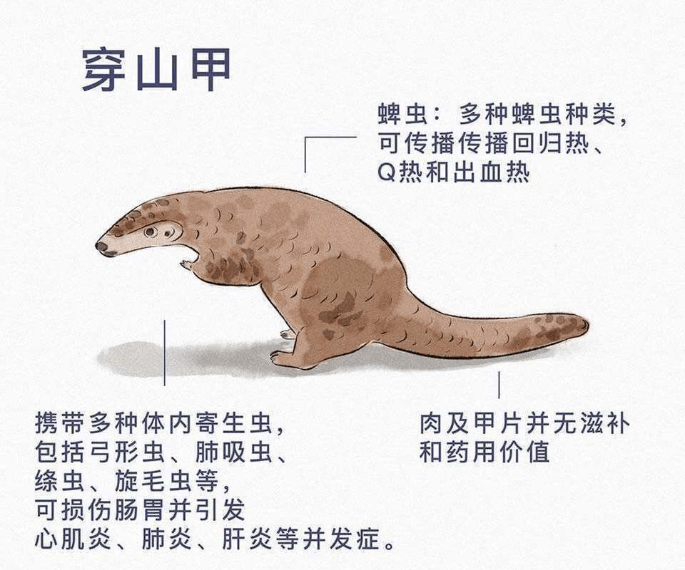 1690ab3daae540f69a47d3776bf6bd34.png