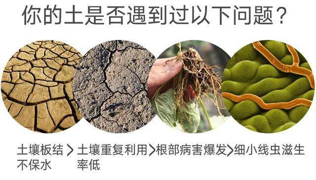 文章配图-2