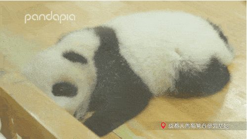 a5eb6a5534f0400db33029762be0b6d1.gif
