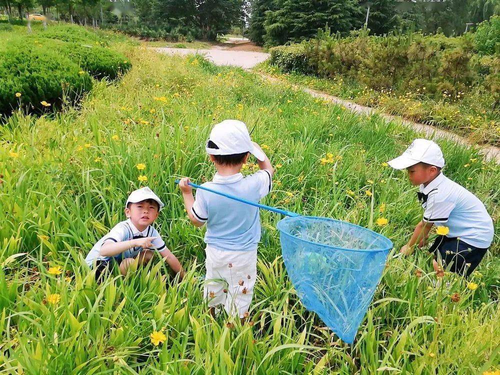 童星伊丽莎白幼儿园自然教育给孩子真实的生活感悟