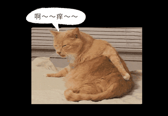 提肛运动可以促进局部血液循环,预防痔疮等肛周疾病.