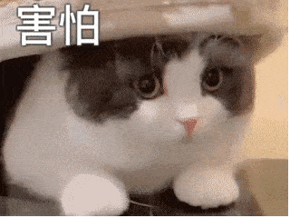 今日份沙雕表情包:兄弟,馋了馋了