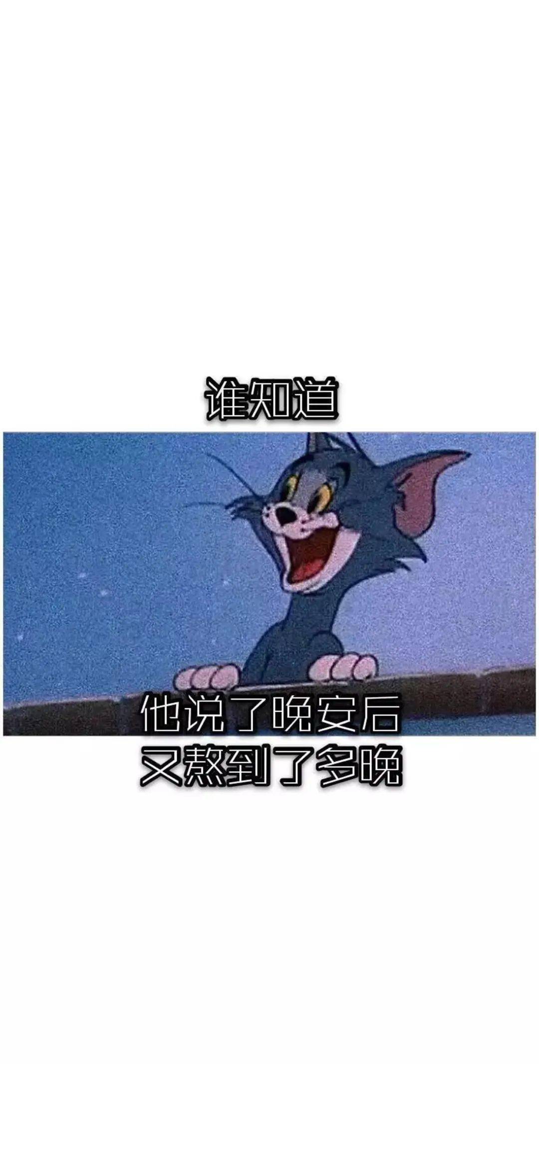 粉丝福利猫和老鼠专辑壁纸图_end