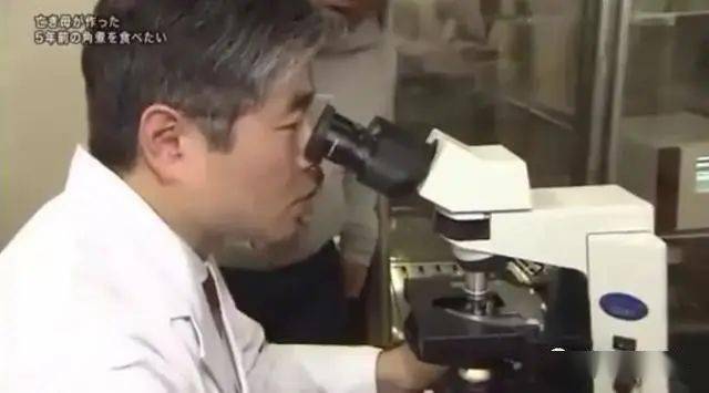 炖肉|女儿把她做的最后一道菜冻进冰箱五年。如今她重温了这个味道母亲突然去世