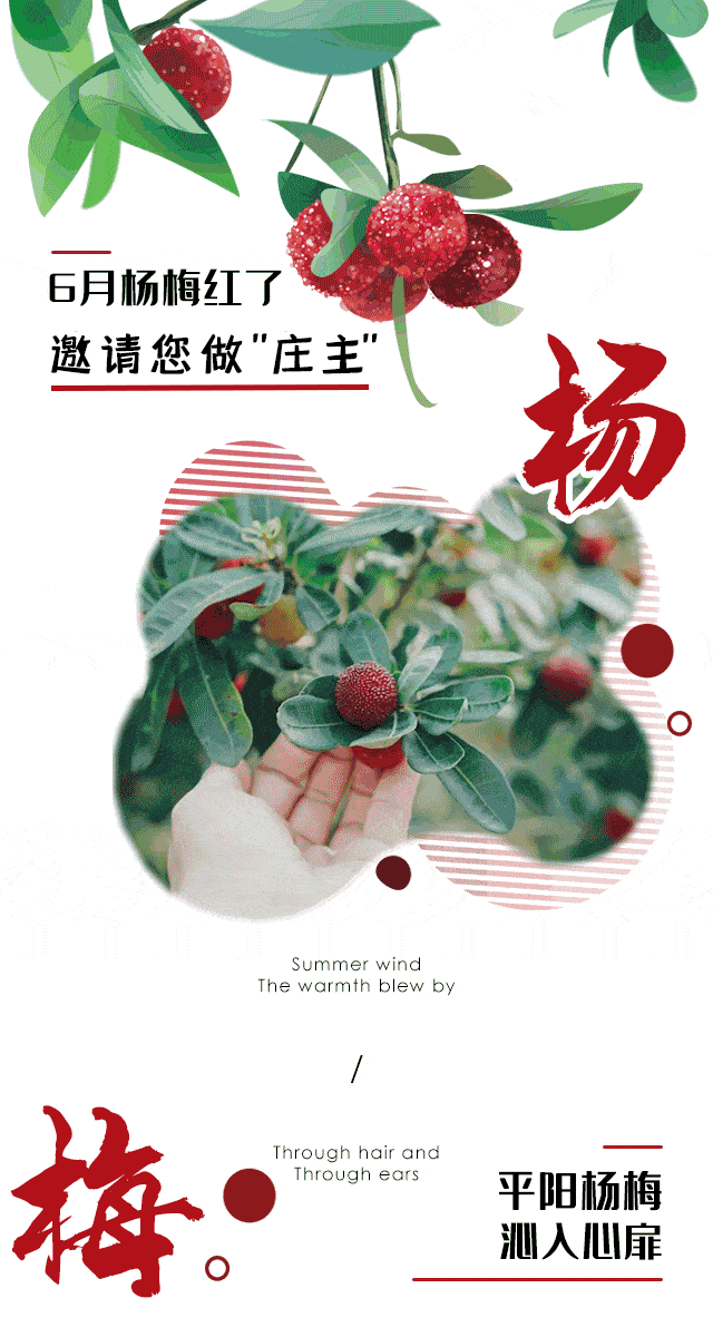 640_1200 竖版 竖屏