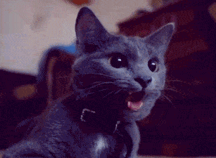 说好的建国后不许成精呢?