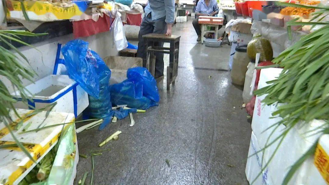 嘉兴哪个镇外来人口多_嘉兴老城区在哪个位置