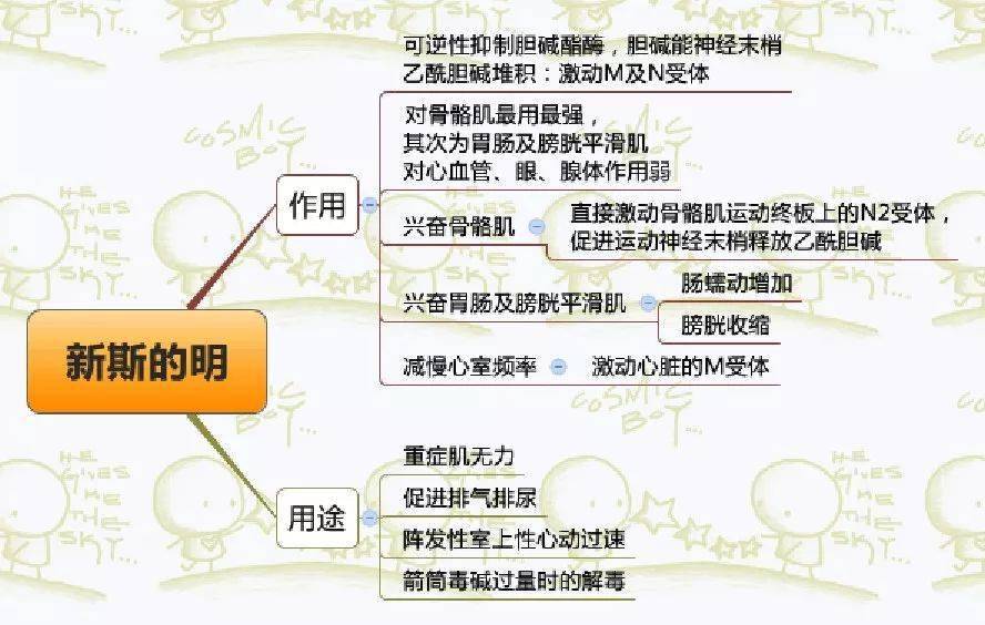 收藏|药理学思维导图