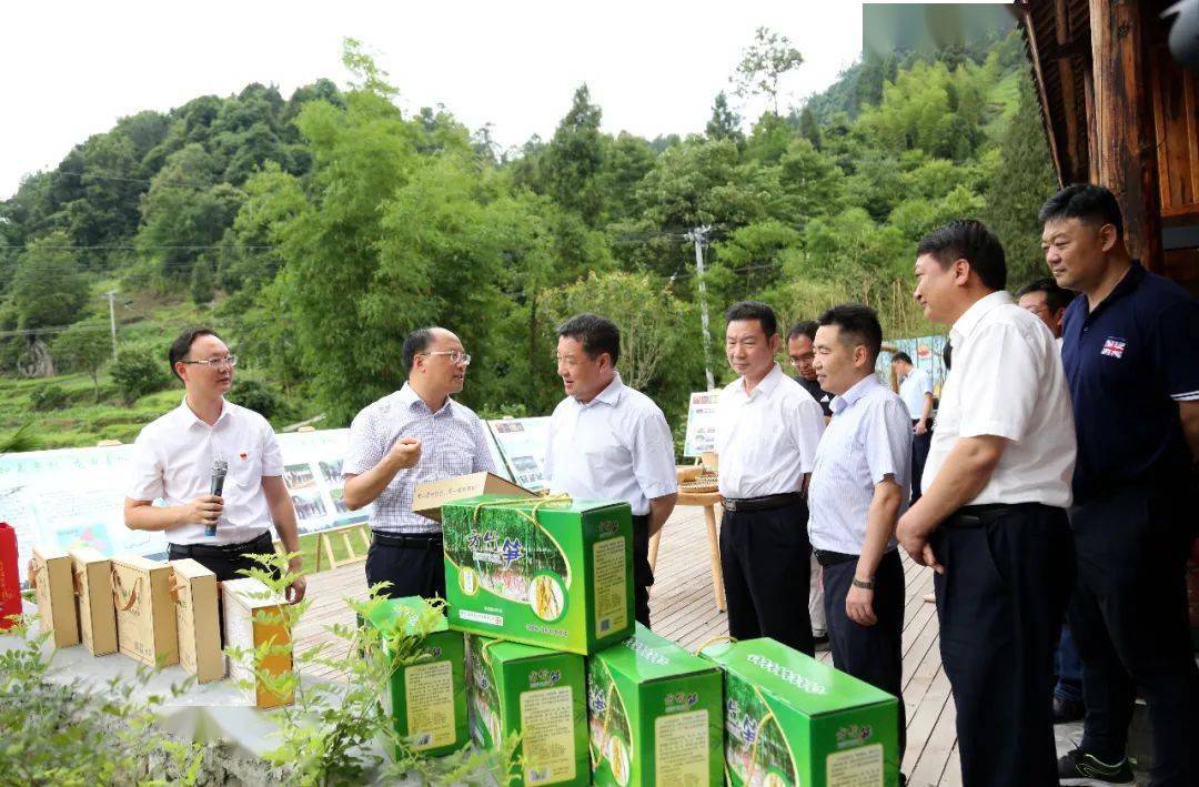 旅居习水高端民宿梧桐山开村了跟着他们先睹为快