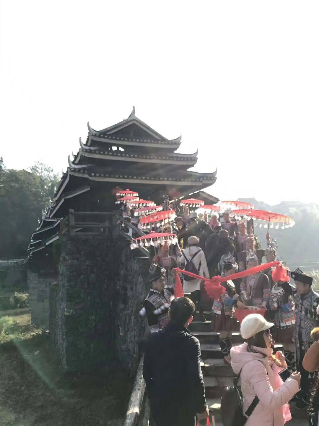 【7月/8月】4天3晚 | 柳州三江研学游,采茶体验,非遗侗画,浏览程阳