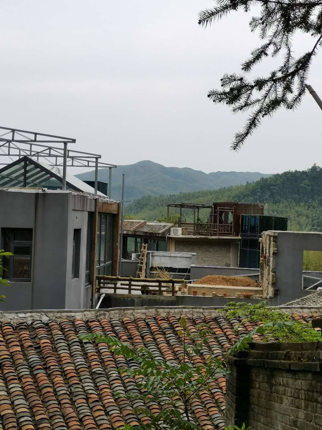 南昌梅岭沈园疑云:竹海里的招商?违法毁林的