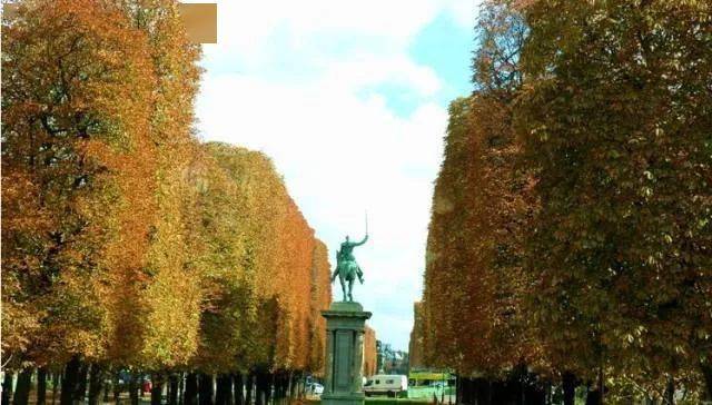 巴黎香榭丽舍大街上的造型树真是一股清流，中法文化果然不一样！
