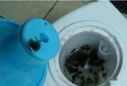 b339a20c24e94c9a9df88f5dd73b3470.jpeg