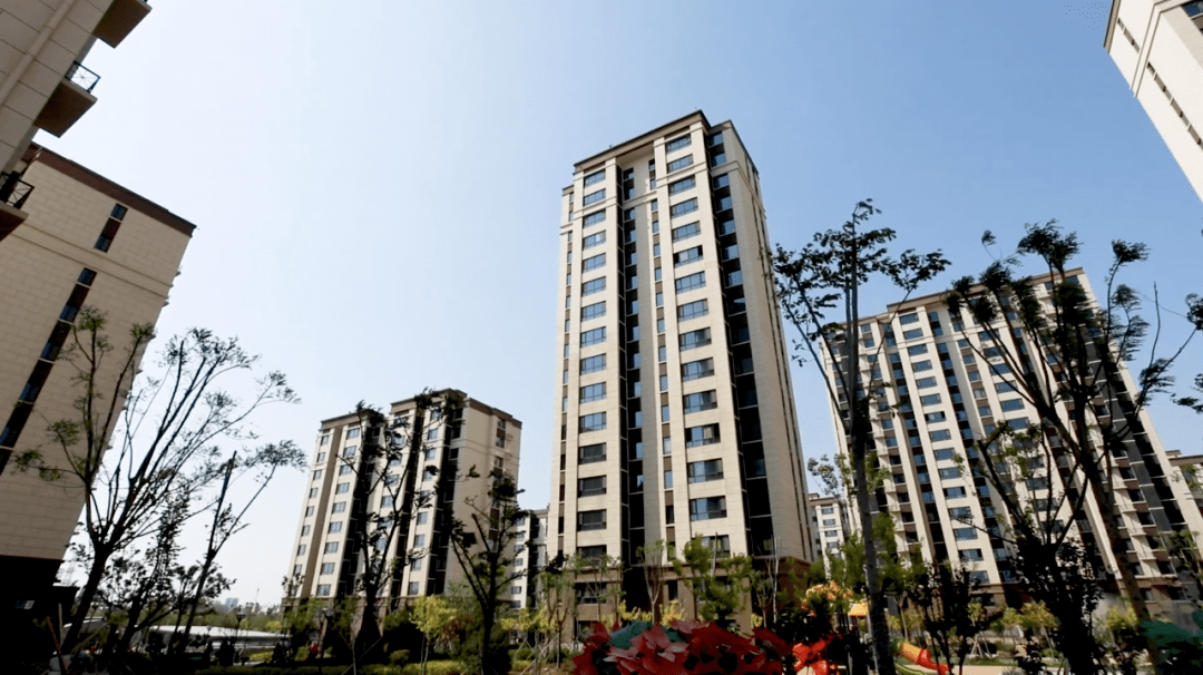 淄博有多少商业综合体 c404fb290cbd432682583f5f024c44df.png