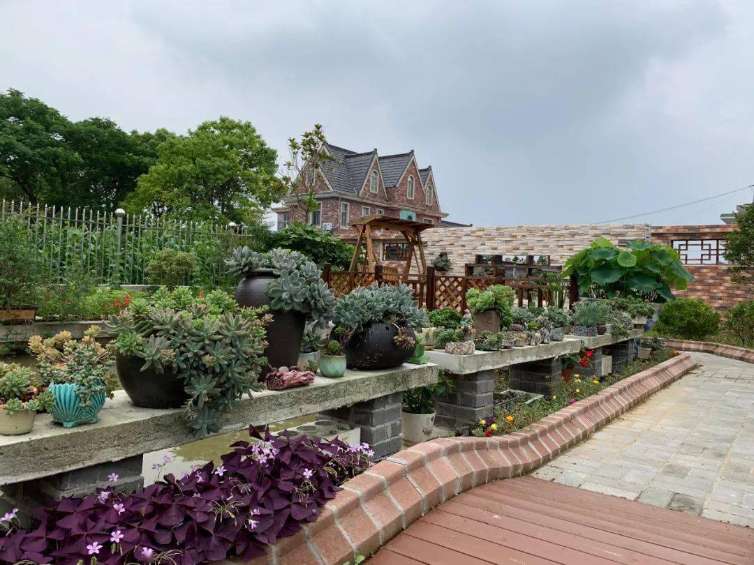 助力花博园艺赛,崇明农家小院变花园