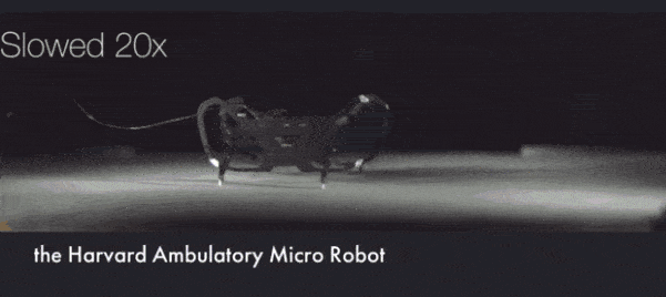 空心杯电机绕线，史上最小、速度最快机器人！哈佛出品的　２　厘米「四足小强」来了＿研究