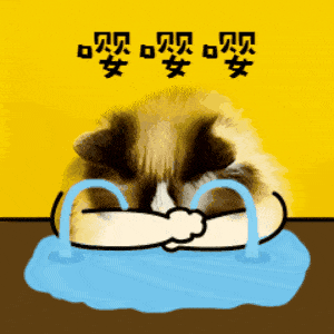 300_300gif 动态图 动图