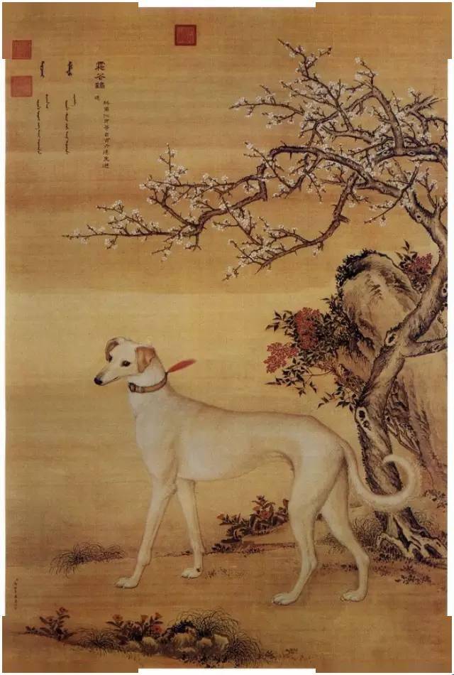 郎世宁作品高清全集98张