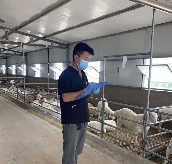 农村|甘肃一名大学生回农村创业成致富带头人