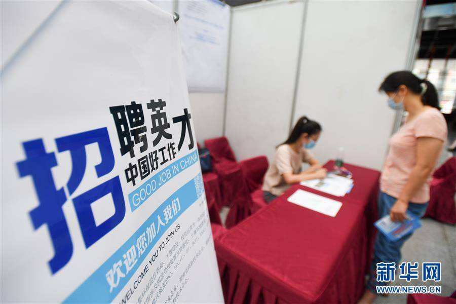 综合性|招聘求职忙