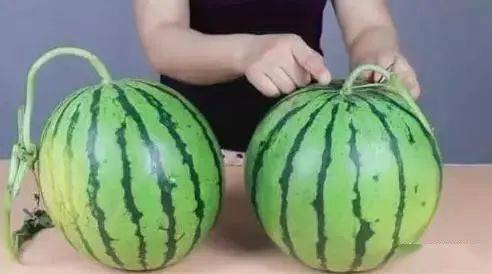 3f052f374cb0490ca61ce51937b9c3fd.jpeg