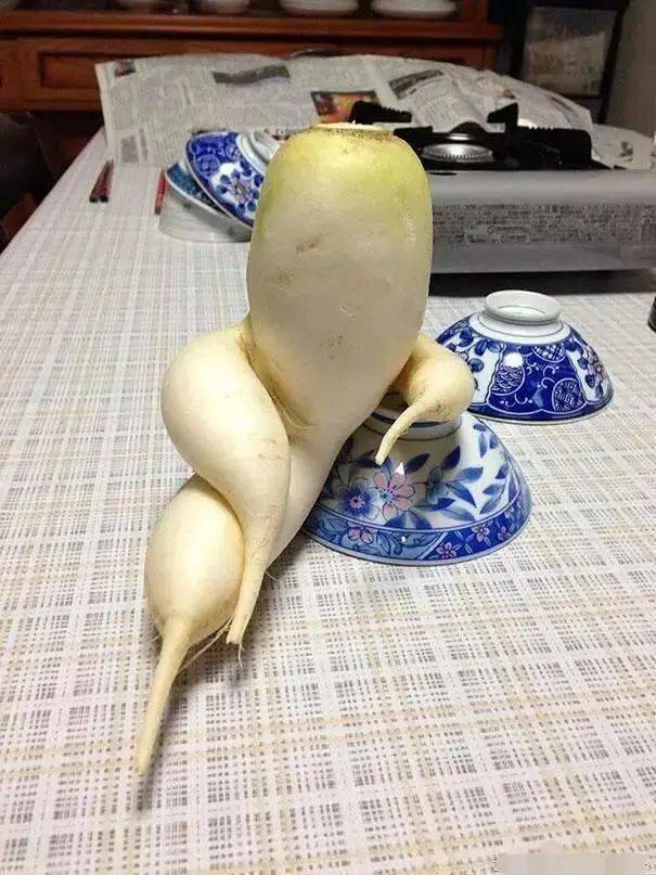 发几张不正经的照片给大家看看,笑死人不偿命!