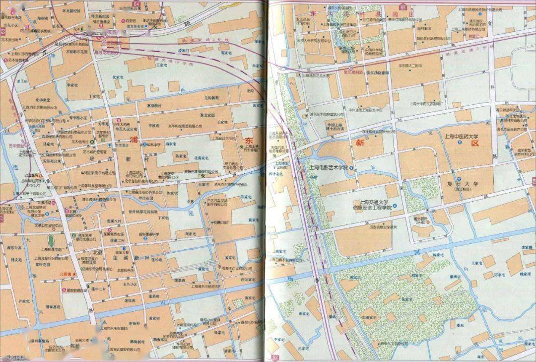 张江高科技园区地图,图上可见诸多以中外科学家命名的道路.