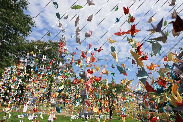 矩阵|华中农大万枚纸鹤矩阵祝福毕业生