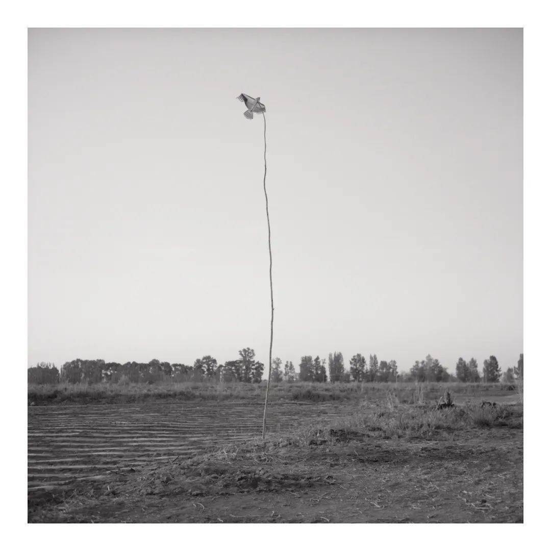 2020年酒泉Q1GDP_2020年酒泉照片