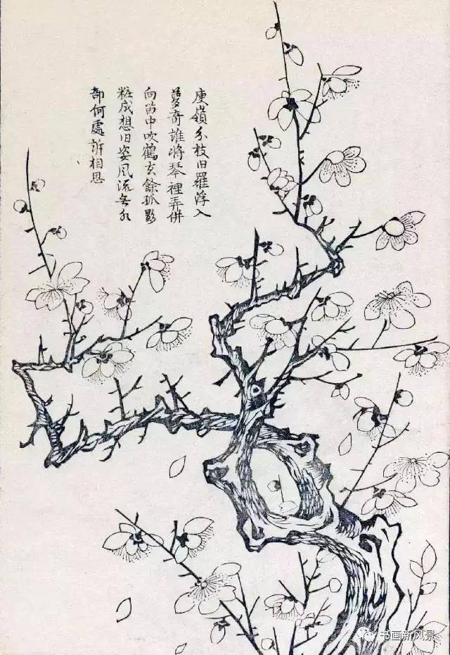 《梅花谱》是由明代集雅斋编辑绘刻的《梅竹兰菊四谱》中的一种,画谱