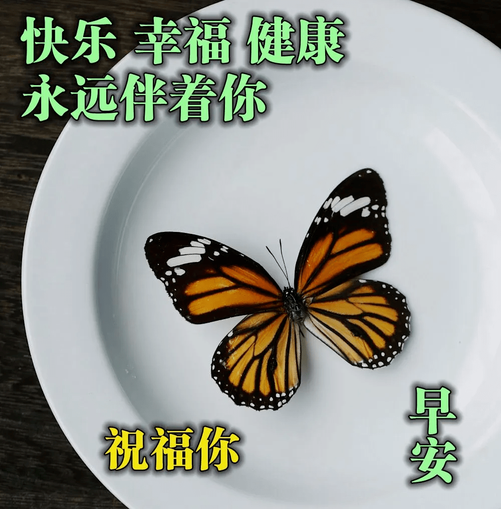 6月22日早上好适合群发给朋友的早上问候祝福语 唯美花朵带祝福语图片