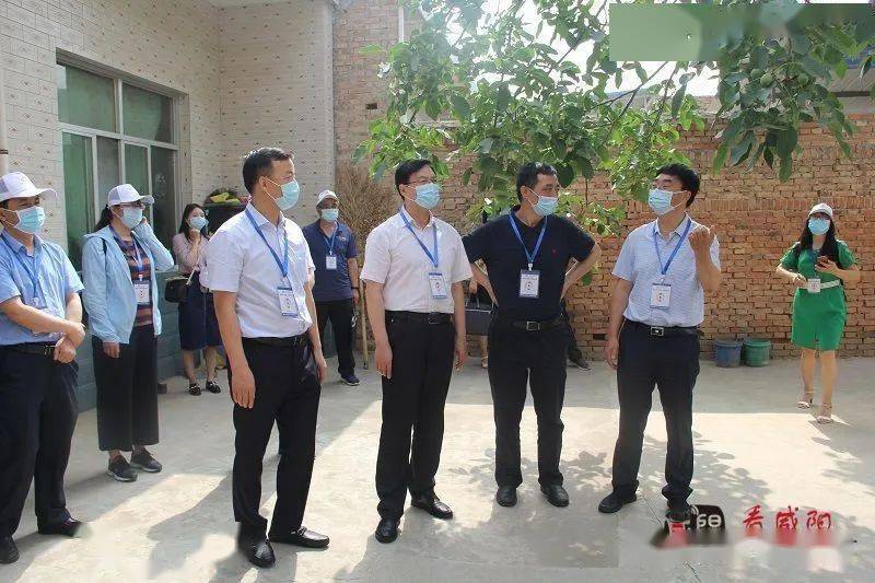 咸阳第七次全国人口普查_第七次全国人口普查