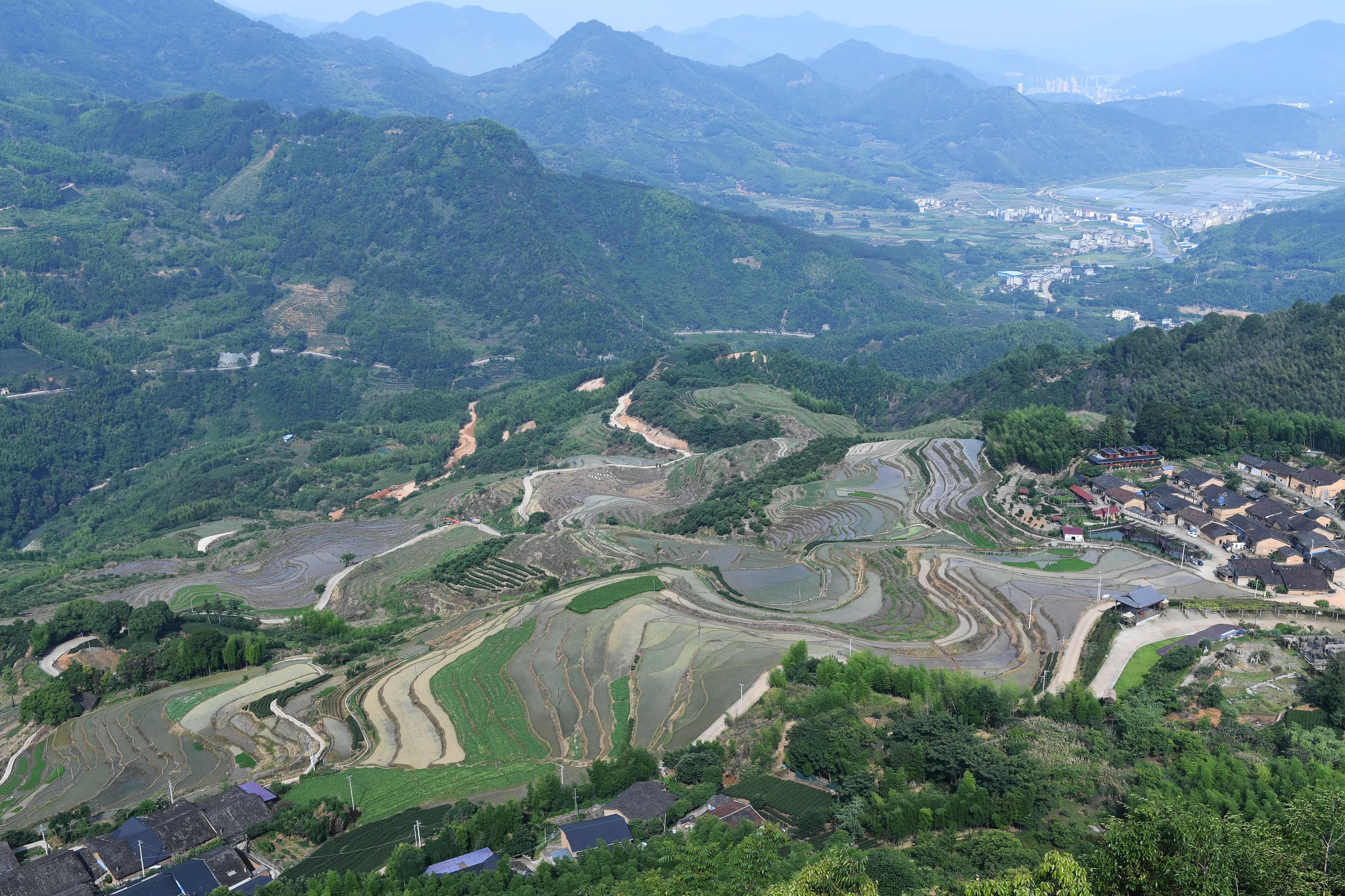 兴业县山心镇良星村人口_兴业县山心镇龙江村(3)