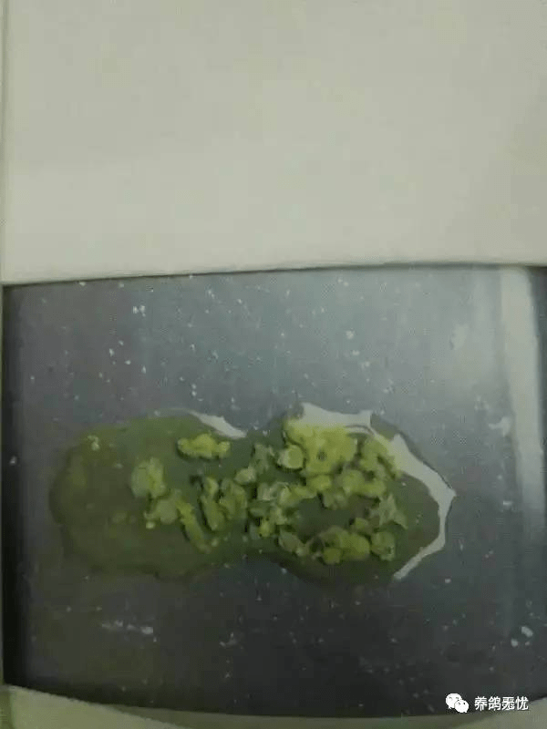 8a78f2e3208b4705825cfe3a02e4598c.png
