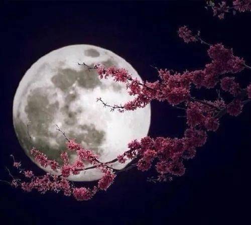小时不识月,呼作白玉盘_月亮