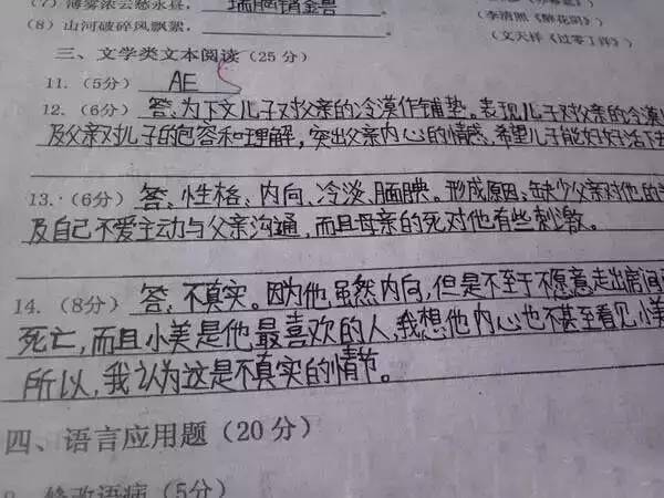 中考试卷扫描后啥样?评卷误差咋回事?注意这些多得20分!