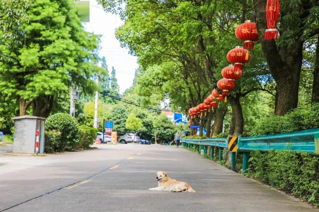 北依马鞍山,南依慈江水,东接灵山头,西接慈城古县城,有人将之称为宁波