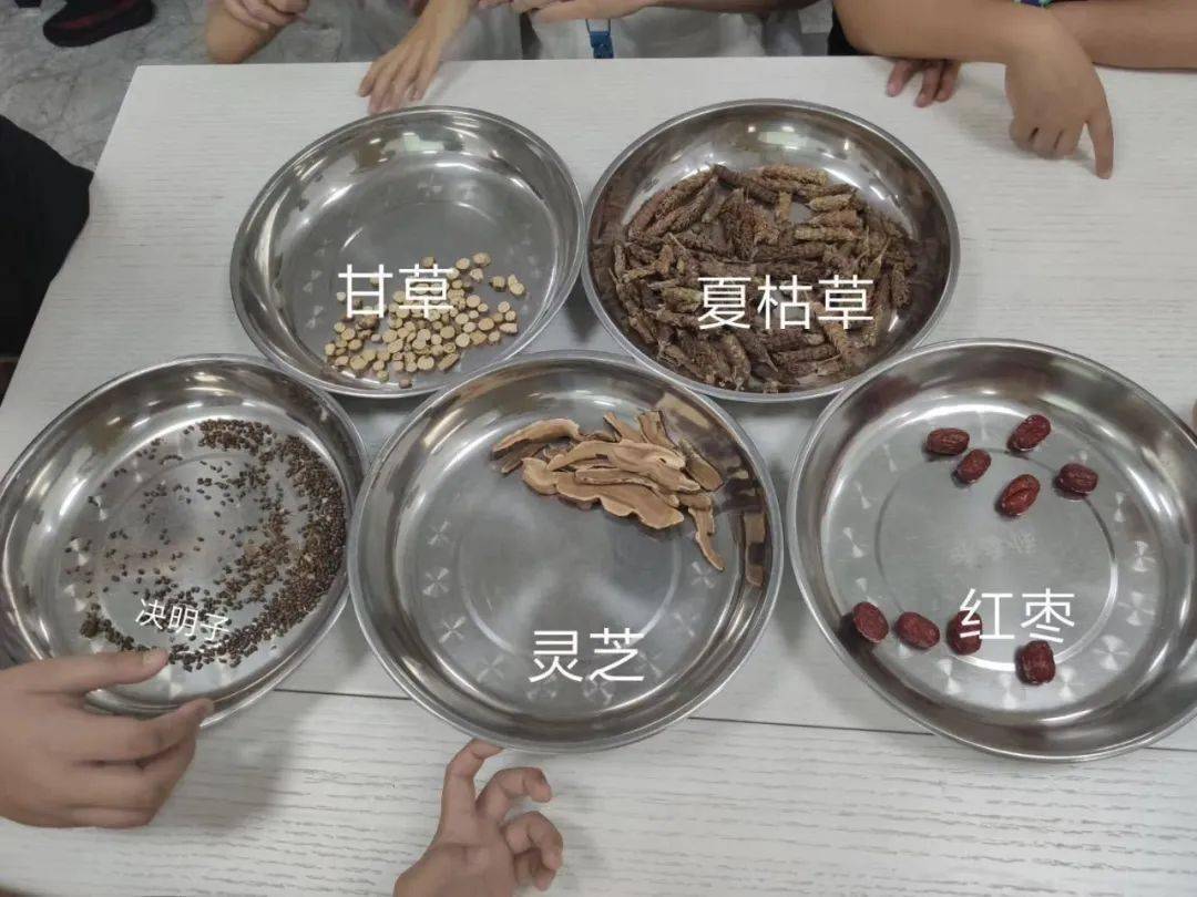 老字号小记者|"快乐小药工"亲子活动圆满结束