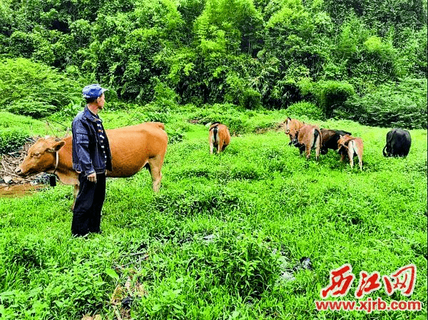 封开县有多少人口_封开县江口中学