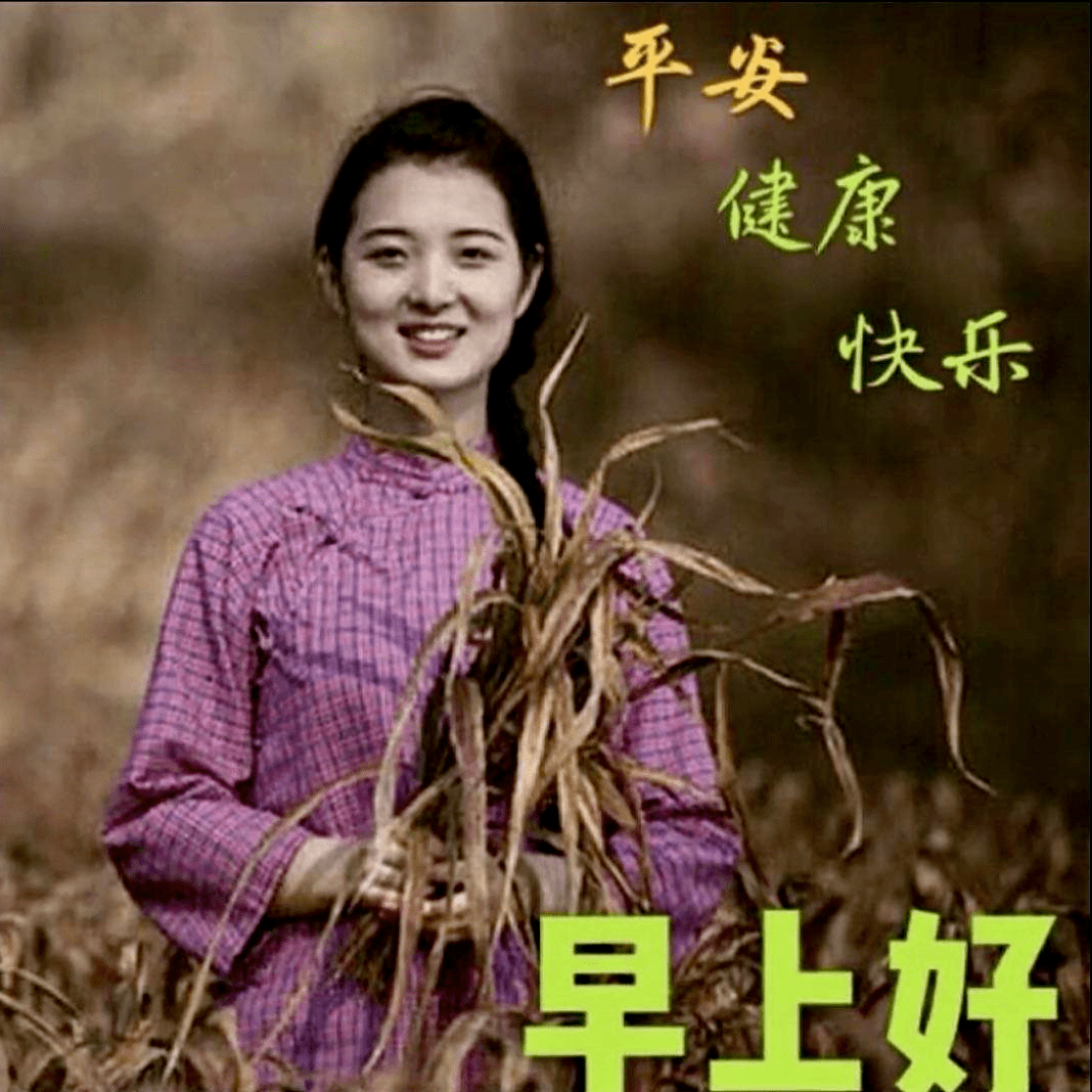 唯美漂亮经典的美女早上好暖心问候祝福表情图片大全早安问候祝福图片