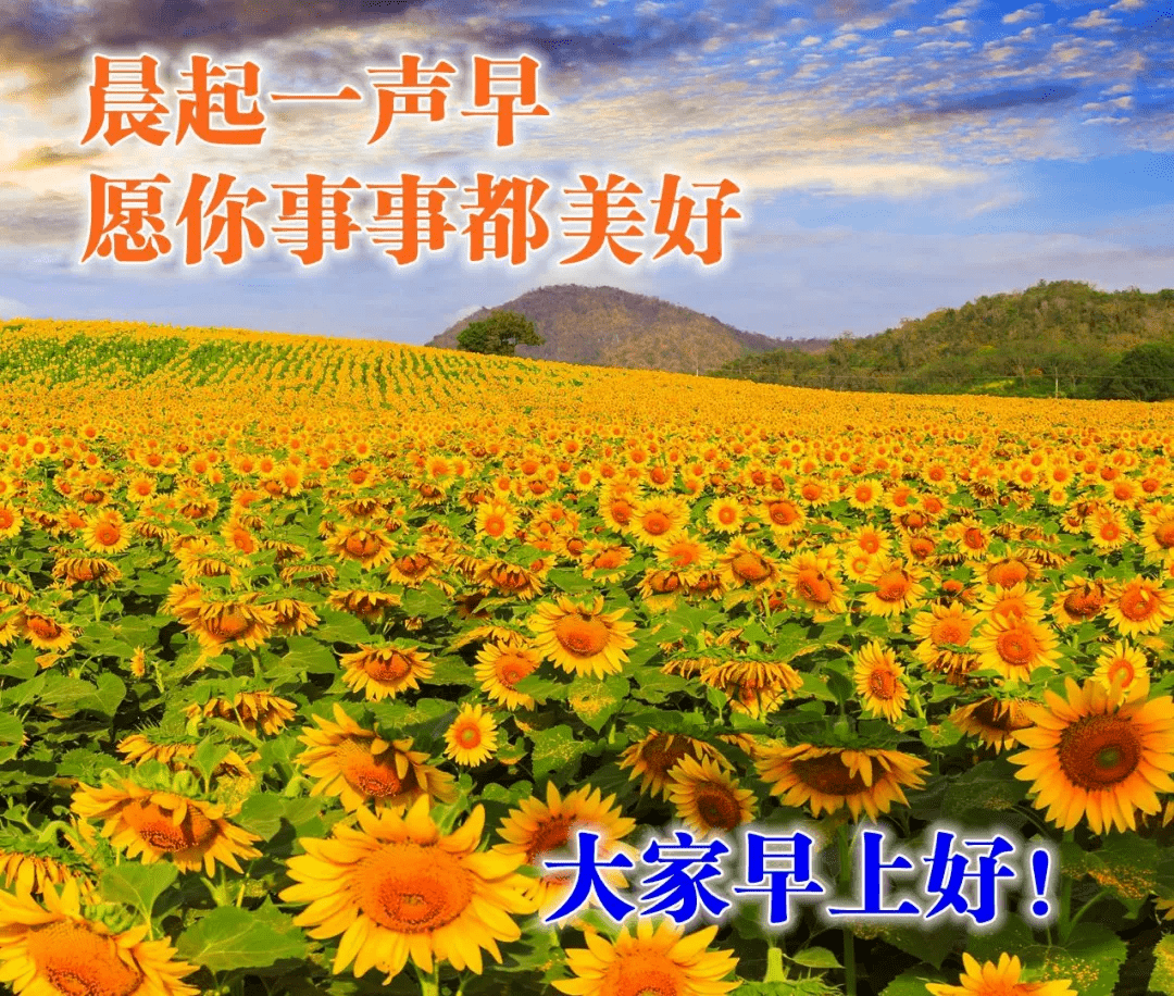 清晨早上好温暖人心的问候祝福语精选句子优美的高清鲜花图片带字