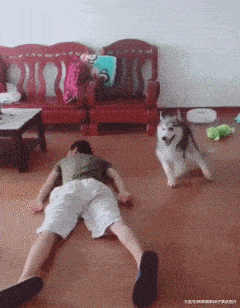 搞笑gif趣图:竟然能跟美女抢镜,大叔你赢了