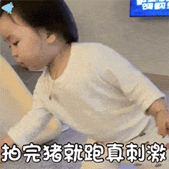 微信拍一拍表情包大全_手机搜狐网