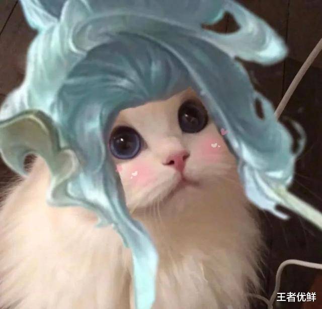 王者荣耀猫猫换头图——五岳五神兽专辑