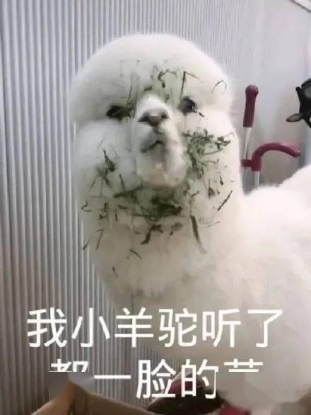 3e1a81fd3ea74fd6be20a5874076ca9b.jpeg