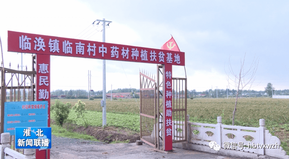 濉溪县临涣镇临南村党总支书记 刘锦法