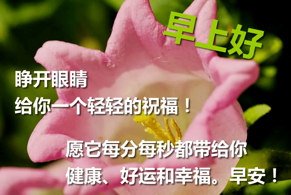 早安吉祥,最美的早上好问候语图片表情大全